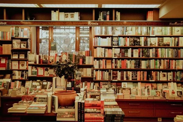 Worldwide Bookstore Recommendations Every Reader Needs