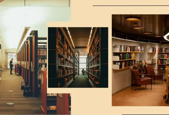 Worldwide Bookstore Recommendations Every Reader Needs