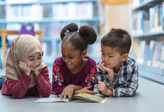 Alycat Series Guide: Engaging Stories for Kids Ages 4–8