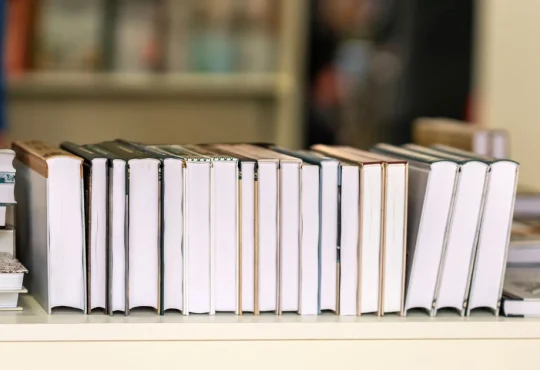 Most Popular Book Genres of 2026 (What’s Trending)